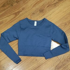 aerie Blue Long Sleeve Cropped Top